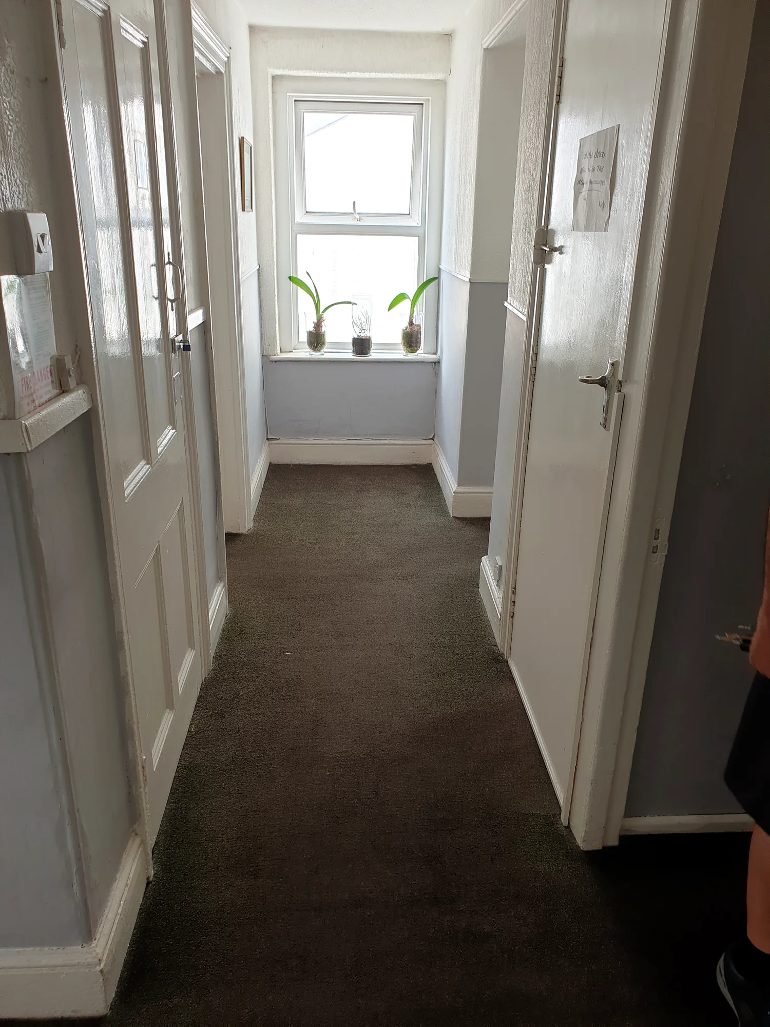 Bright interior hallway leading to guest rooms